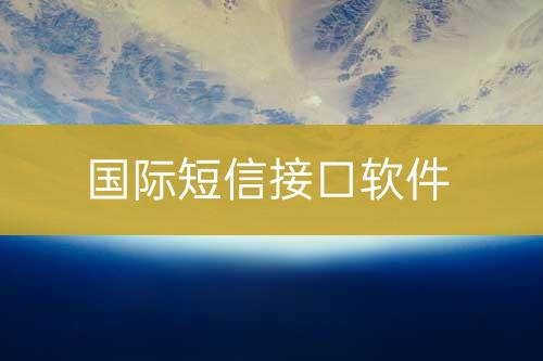 國際短信接口軟件