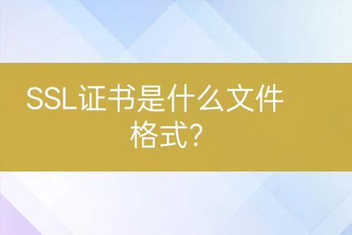 SSL證書是什么文件格式？