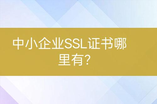 中小企業(yè)SSL證書哪里有？