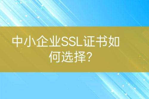 中小企業(yè)SSL證書如何選擇？
