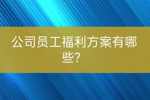 公司員工福利方案有哪些？