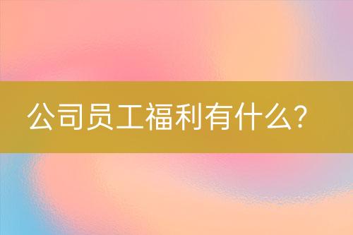 公司員工福利有什么？