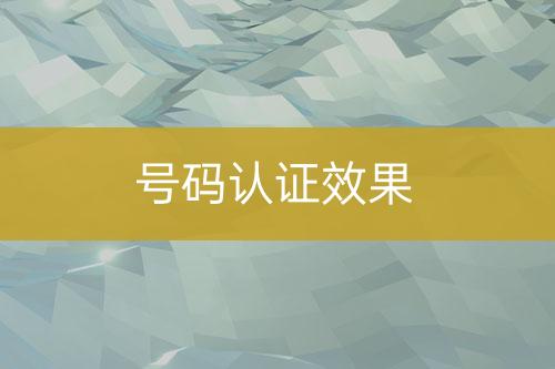 號碼認(rèn)證效果