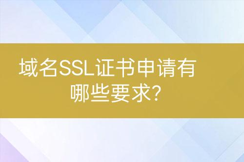 域名SSL證書申請有哪些要求？