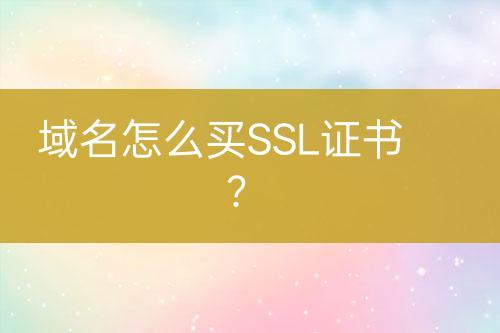 域名怎么買SSL證書？