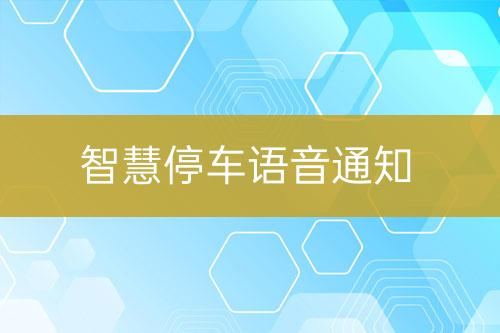 智慧停車語音通知