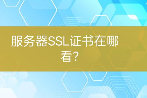 服務(wù)器SSL證書在哪看？