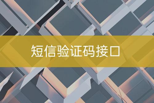 短信驗(yàn)證碼接口