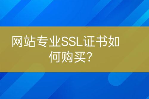 網(wǎng)站專業(yè)SSL證書如何購買？