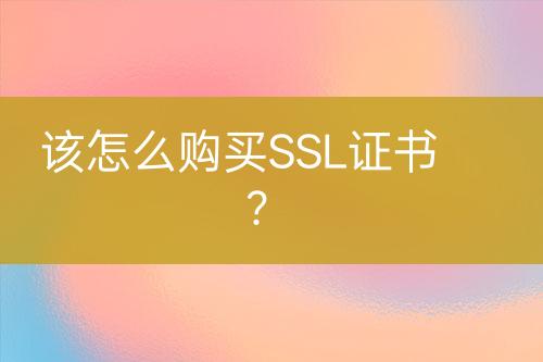 該怎么購買SSL證書？